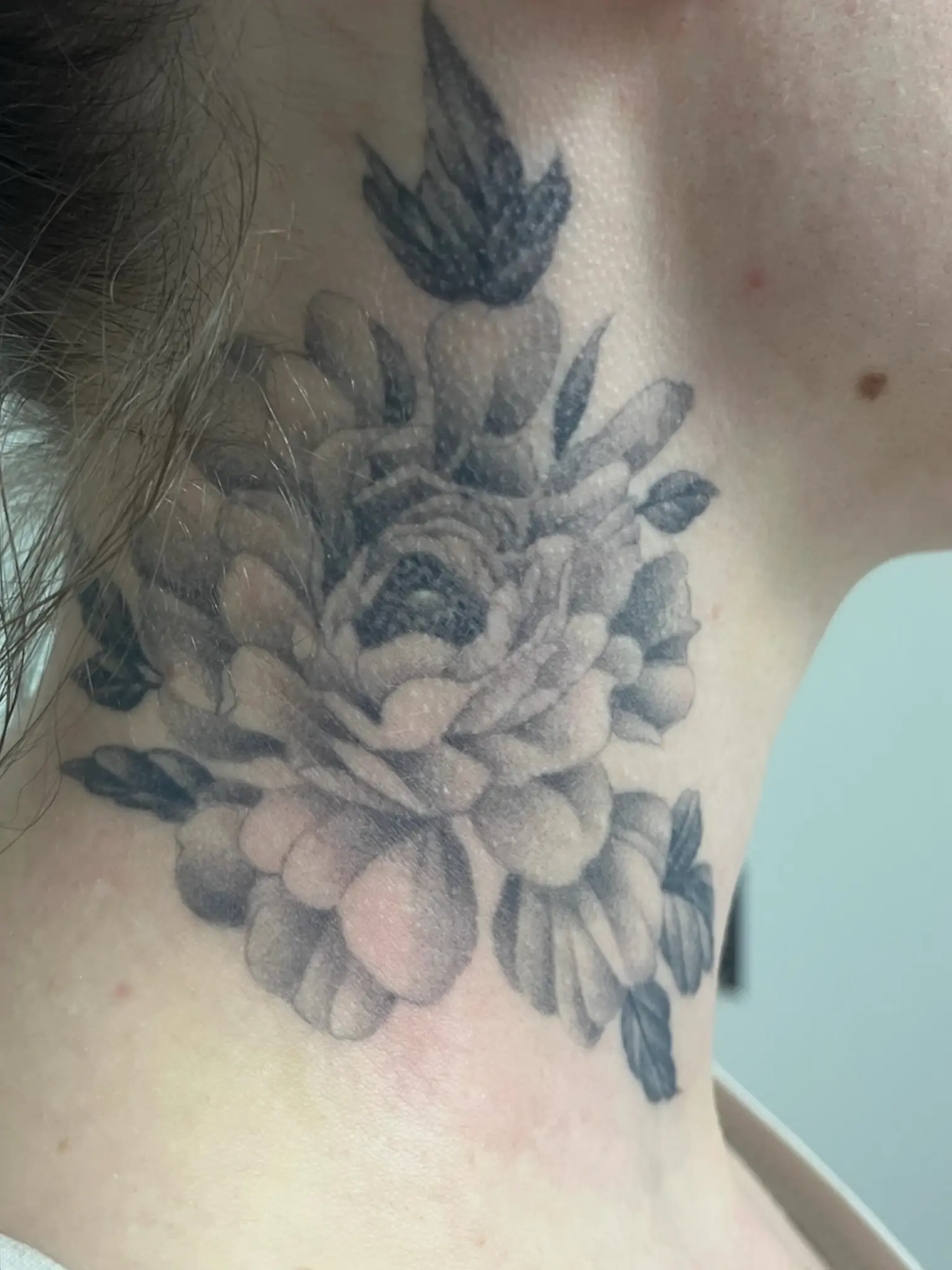 Avant — Pivoine et hirondelle nuque — retrait quasi complet